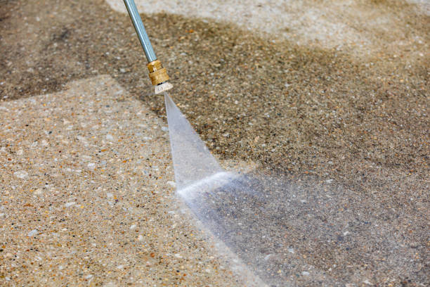 Best Dumpster Area Cleaning  in Osprey, FL